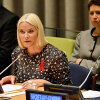 Addressed the UN General Assembly